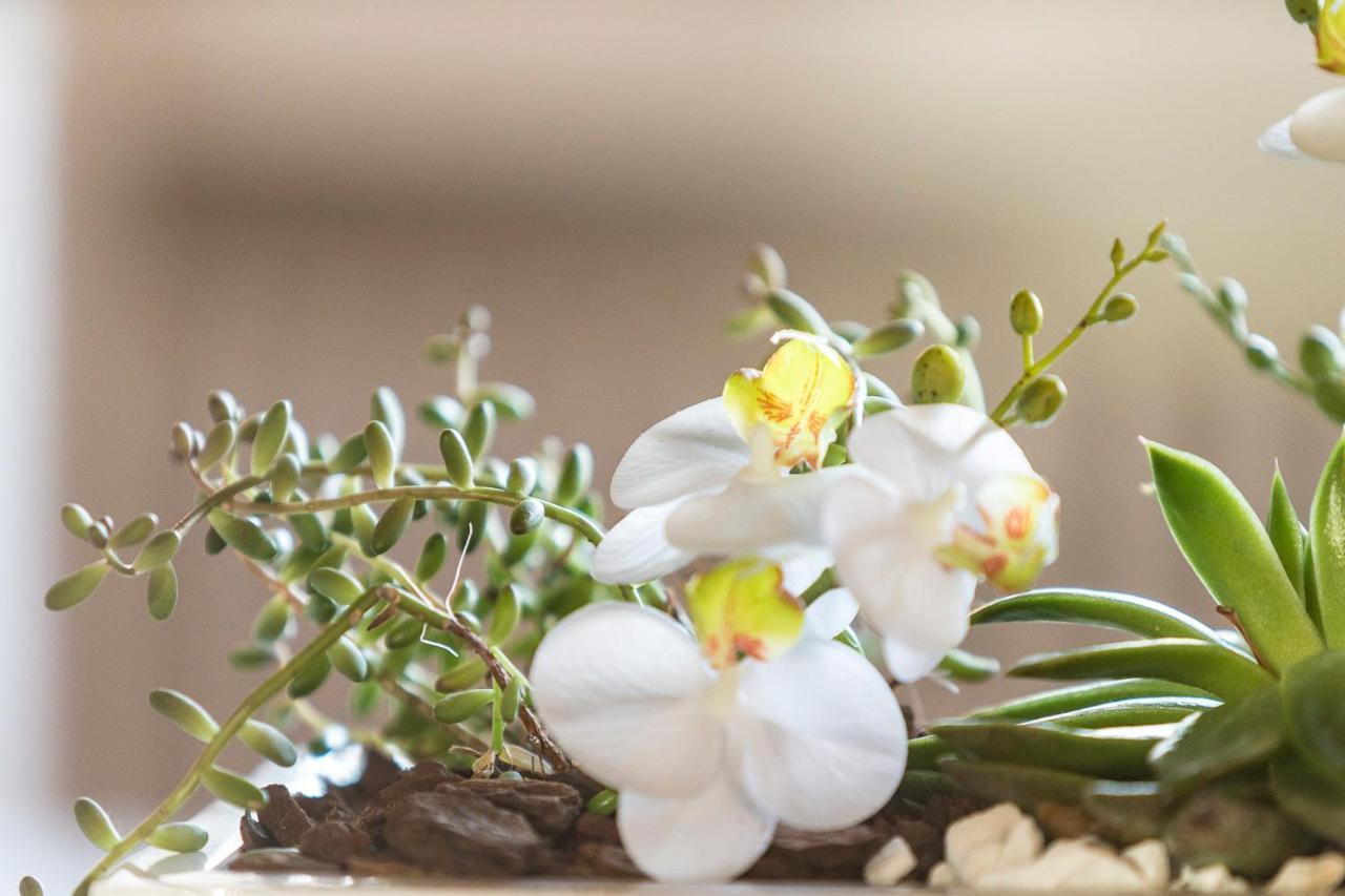 Orselina - Small Luxury Hotel Muralto